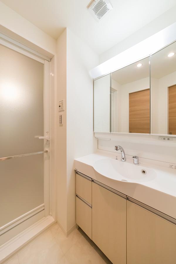 Wash basin, toilet. Vanity with cleanliness