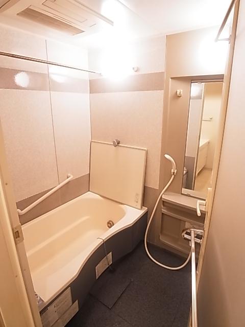 Bathroom. Indoor (11 May 2013) Shooting