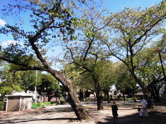 park. Municipal Tokiwadai to the park (park) 135m