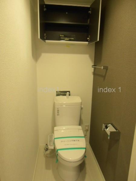 Toilet. Toilet space with a hanging cupboard