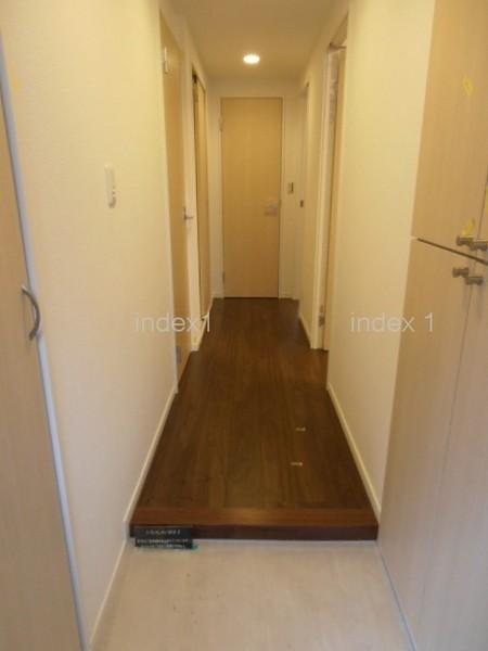 Entrance. Entrance was reduced as much as possible a step