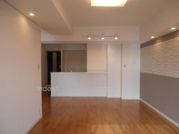 Living. Down lights and indirect lighting is beautiful