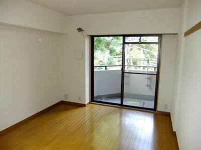 Living and room. Two-sided lighting Western-style (flooring)