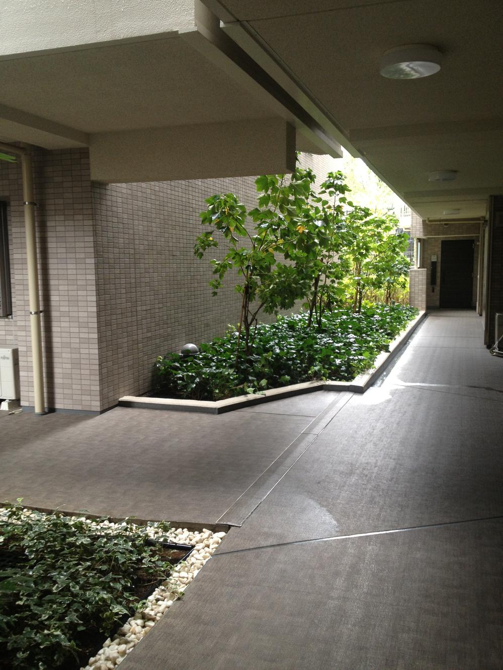 Other common areas. First floor common corridor