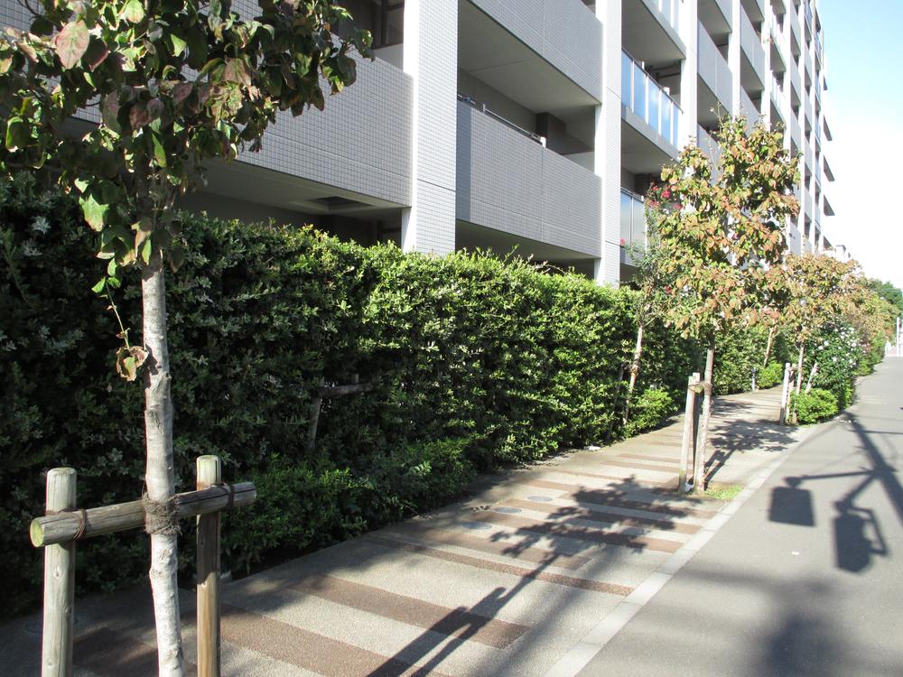 Local appearance photo. Local south (October 2013) Shooting