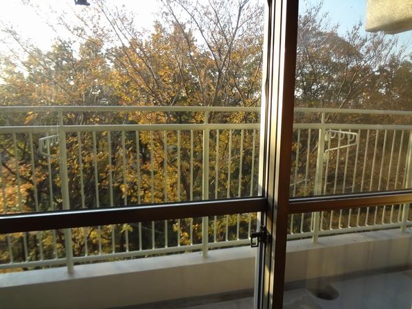 View photos from the dwelling unit. View