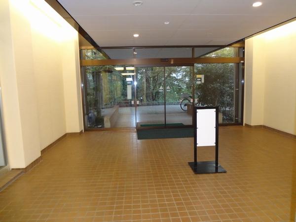 Entrance. Entrance hall