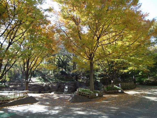 Other common areas. On-site ・ Waterfall Square