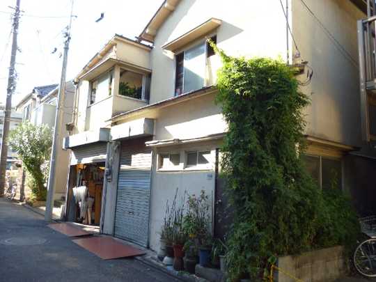 Local land photo. Appearance 1