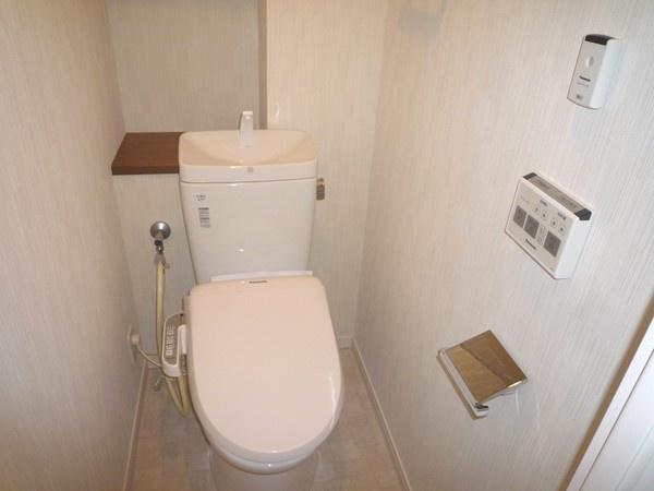 Toilet. Washlet toilet