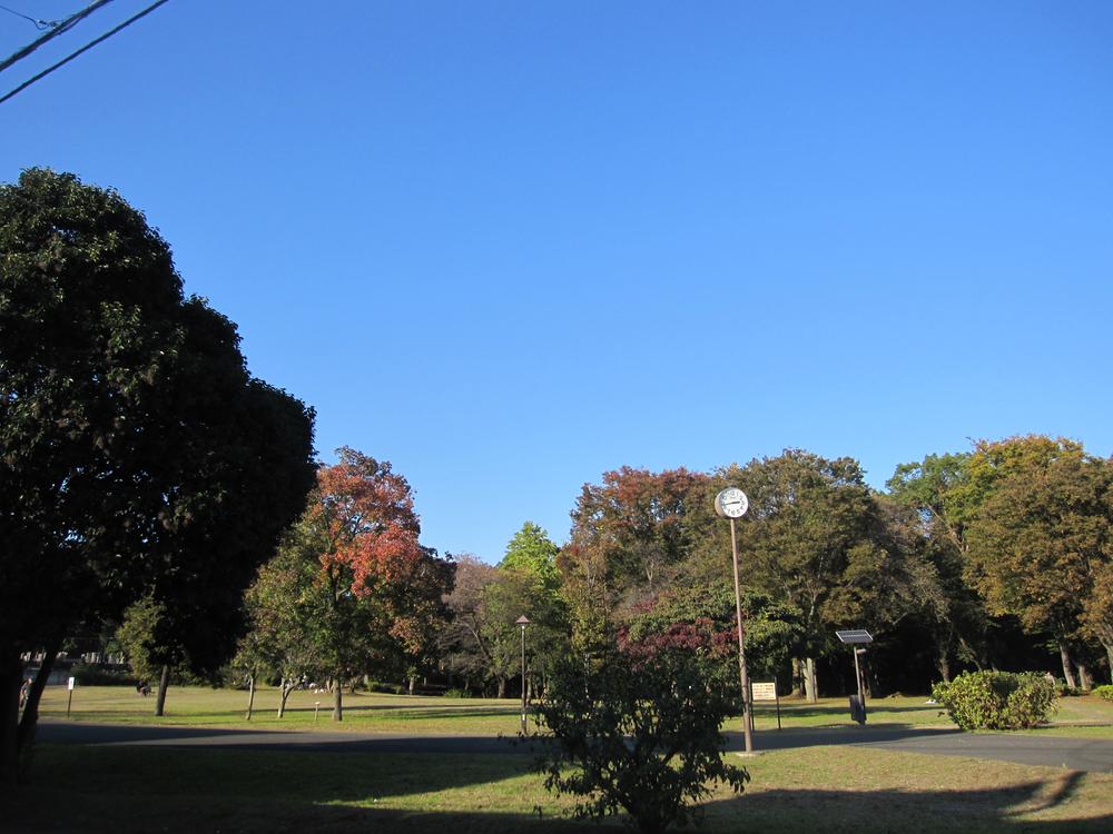 park. Metropolitan Johoku Central Park persimmon 120m to Square