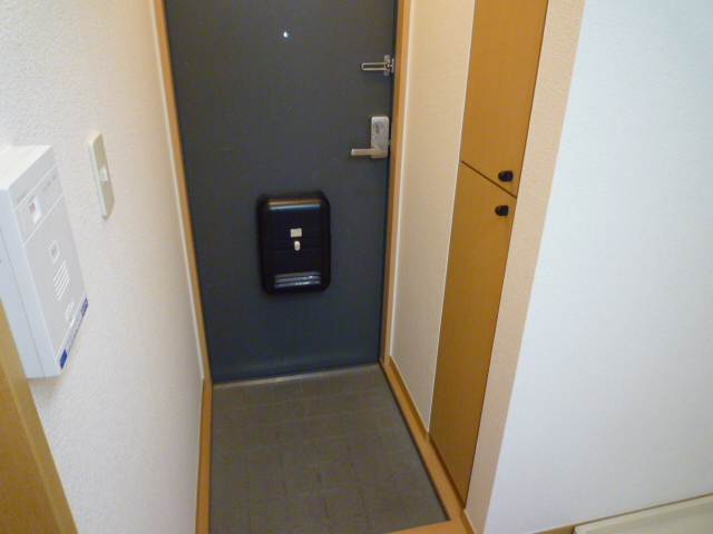 Entrance. Shoes with BOX