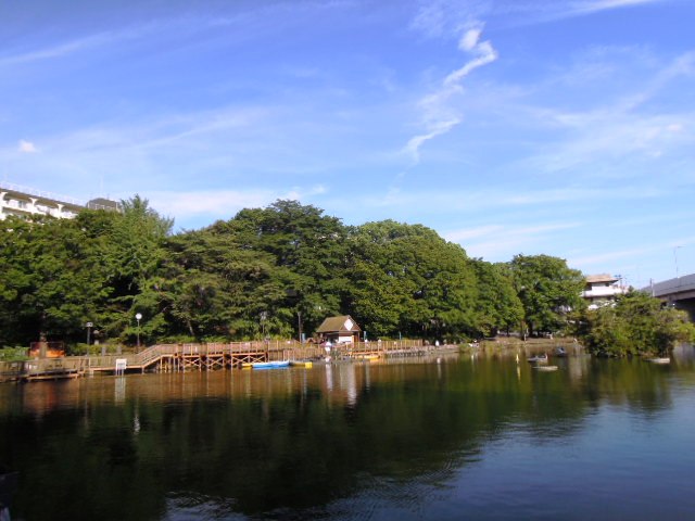 park. 376m until tribute park (park)