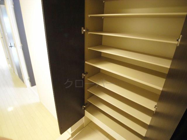 Entrance. Footwear purse