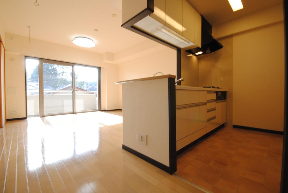 Living. Indoor (11 May 2013) Shooting