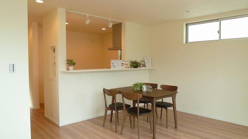 Living. Indoor (September 2013) Shooting