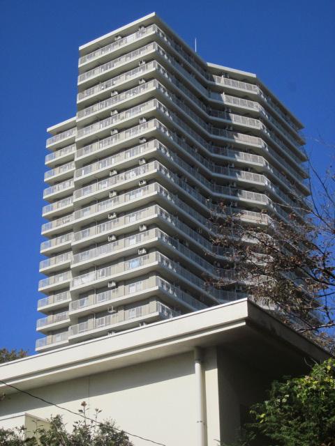 Local appearance photo. Local (11 May 2013) Shooting