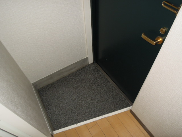 Entrance. There is a front door storage