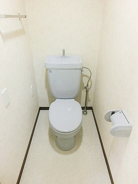 Toilet. Toilet