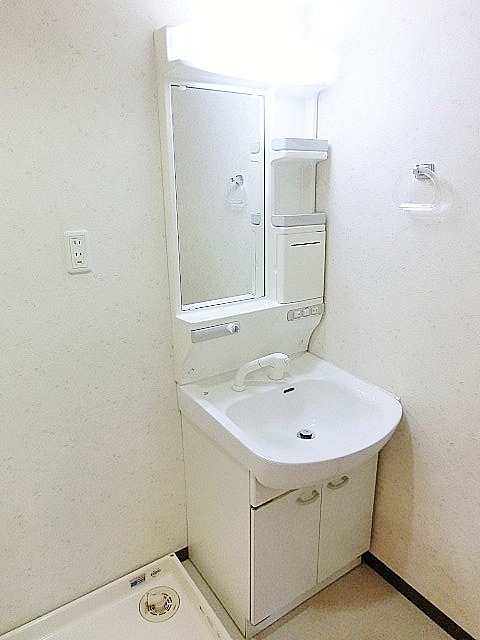 Washroom. Separate vanity