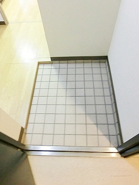 Entrance. Entrance hall