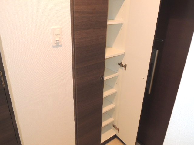 Receipt. Plenty of shoes BOX