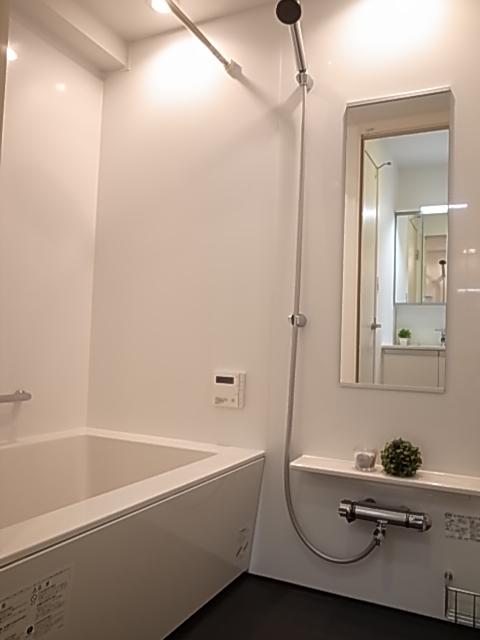 Same specifications photos (Other introspection). Image