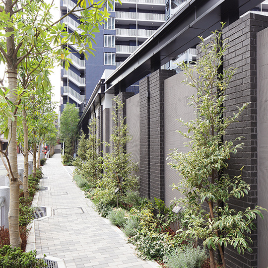 Shared facilities.  [Forest Corridor in harmony with streetscape] Precisely because large-scale projects, With consideration for harmony with the surrounding, It was considered to be important to create a new skyline. Flowers and width about 2m, which was decorated with trees and develop a "forest corridor (self-management sidewalk)", Established a classical design wall at night is lit up. While directing the oneness of two buildings, Also we have extended privacy of by hiding around and clear distinction. (October 2012 shooting)