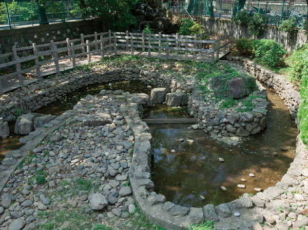 Surrounding environment. Hikawa fishing moat park (South Building: approximately 890m / 12 mins North Building: approximately 950m / A 12-minute walk)