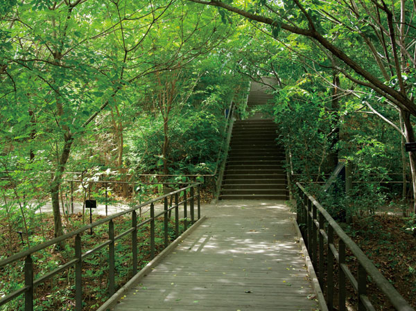 Surrounding environment. Municipal Akabane nature observation park (South Building: about 1330m / Walk 17 minutes North Building: about 1280m / 16-minute walk)
