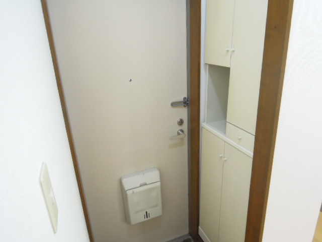 Entrance. Shoes with BOX (see photo)