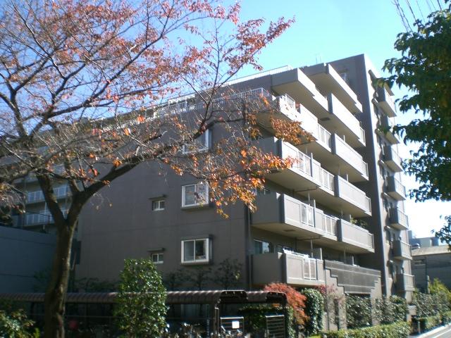 Local appearance photo. Local (11 May 2013) Shooting