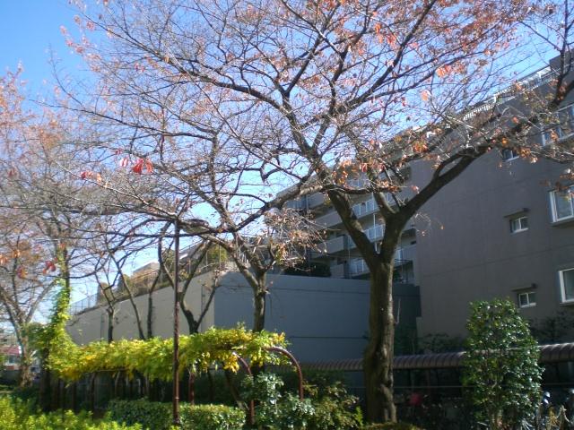 Other. Municipal Idei River green road