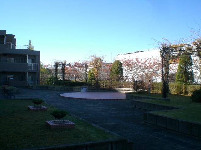 Parking lot. Parking roof