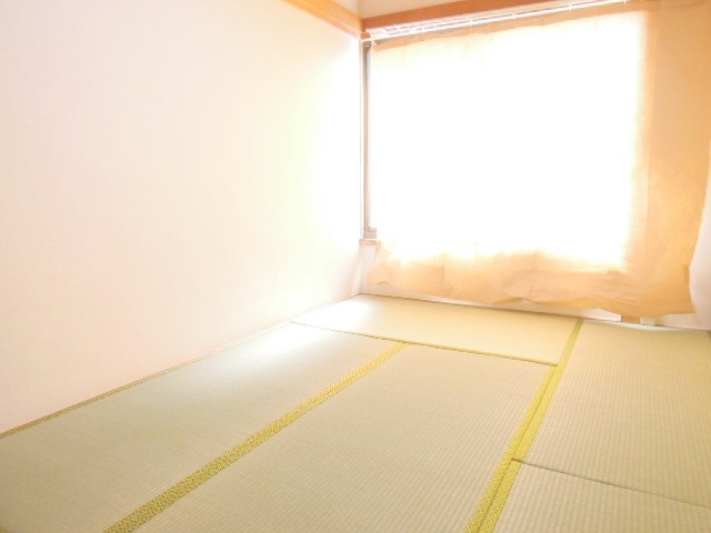 Living and room. room