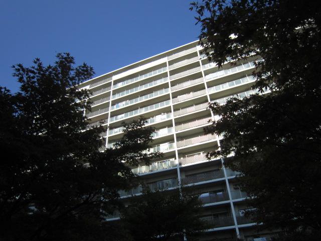 Local appearance photo. Local (11 May 2013) Shooting