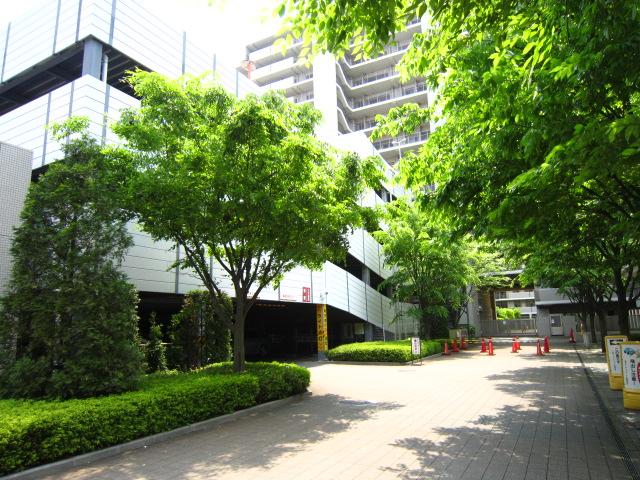 Parking lot. Self-propelled parking