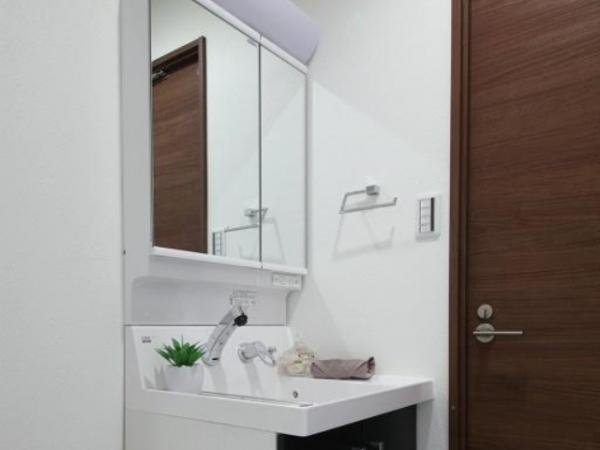 Itabashi-ku, Tokyo lotus root 3