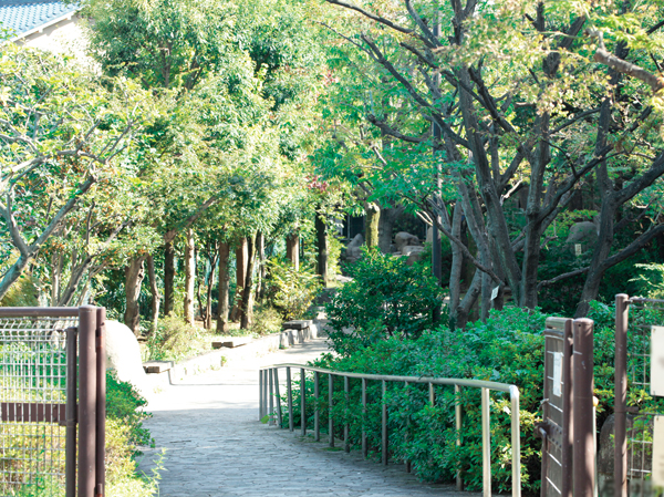 Surrounding environment. Shakujii green road (about 340m ・ A 5-minute walk)