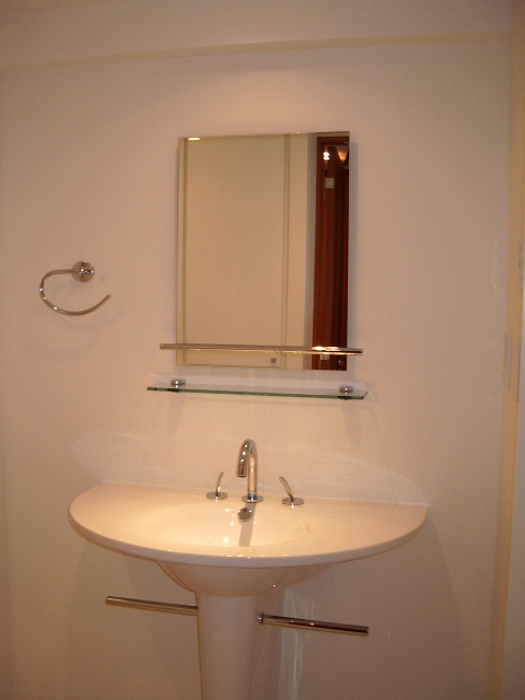 Washroom. Stylish wash basin