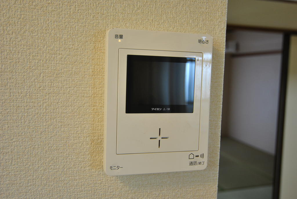 Security. TV monitor phone