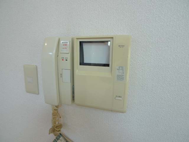 Security. Crime prevention surface peace of mind with a monitor Hong