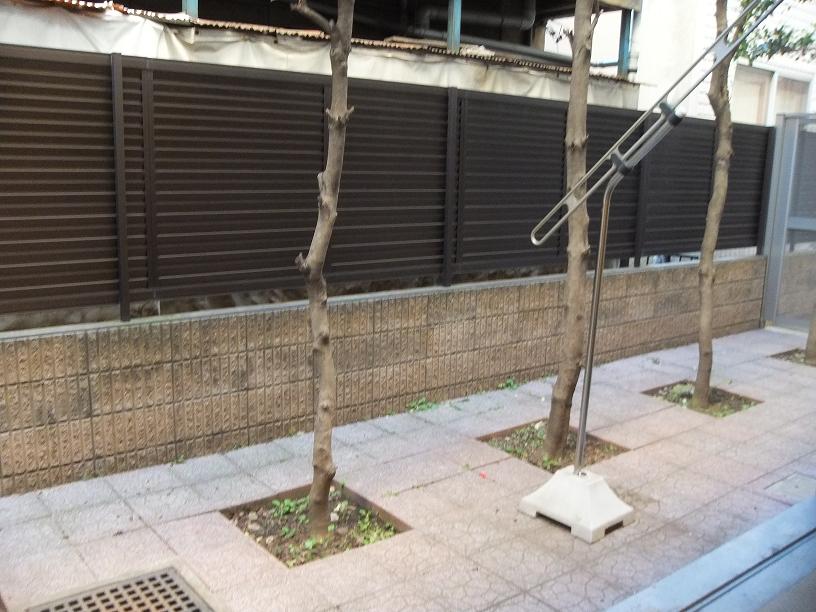 Garden. South-facing spacious private garden