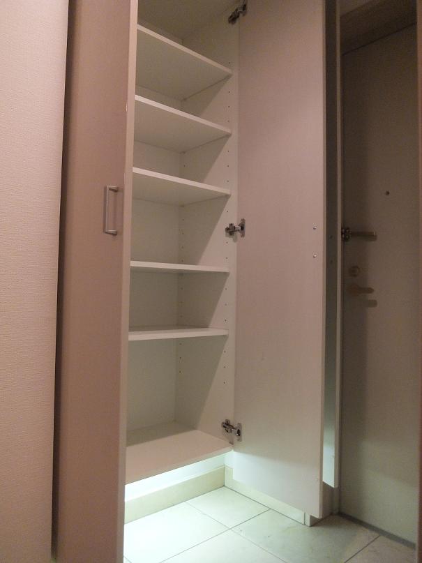 Entrance. Shoes closet