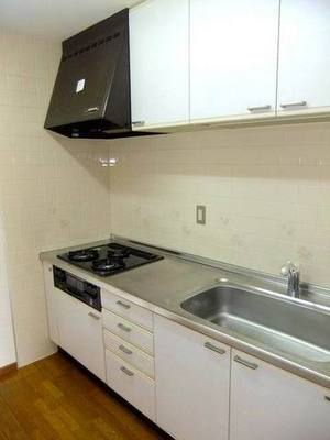 Kitchen. System kitchen