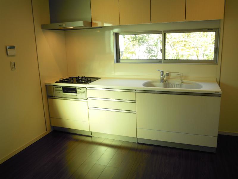 Kitchen. Indoor (12 May 2013) Shooting