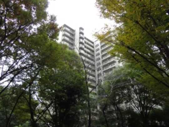 Local appearance photo. appearance