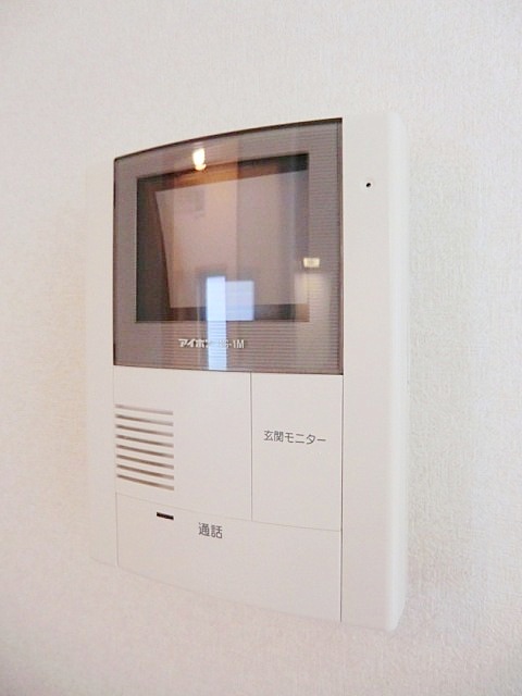 Security. Intercom with TV monitor
