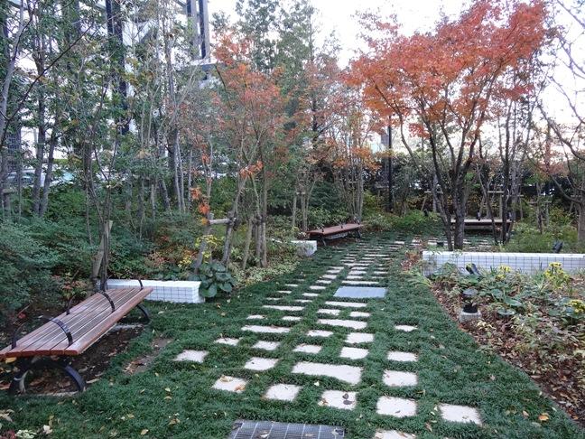 Other local. Forest Park (December 2013) Shooting