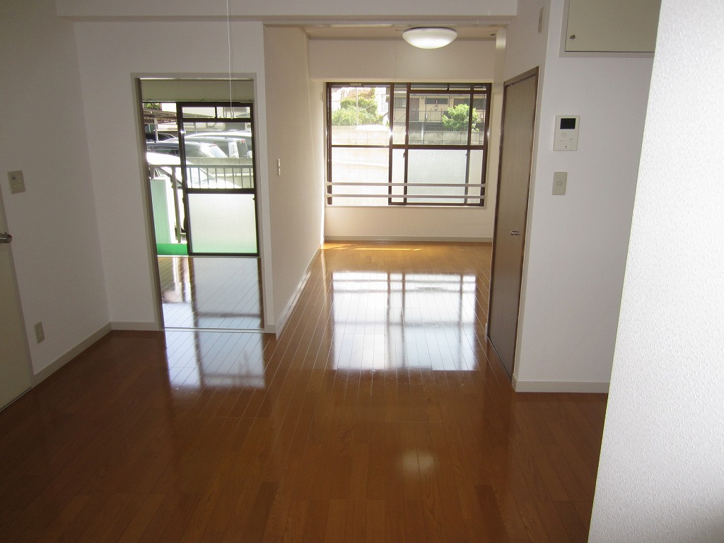 Living and room. LDK